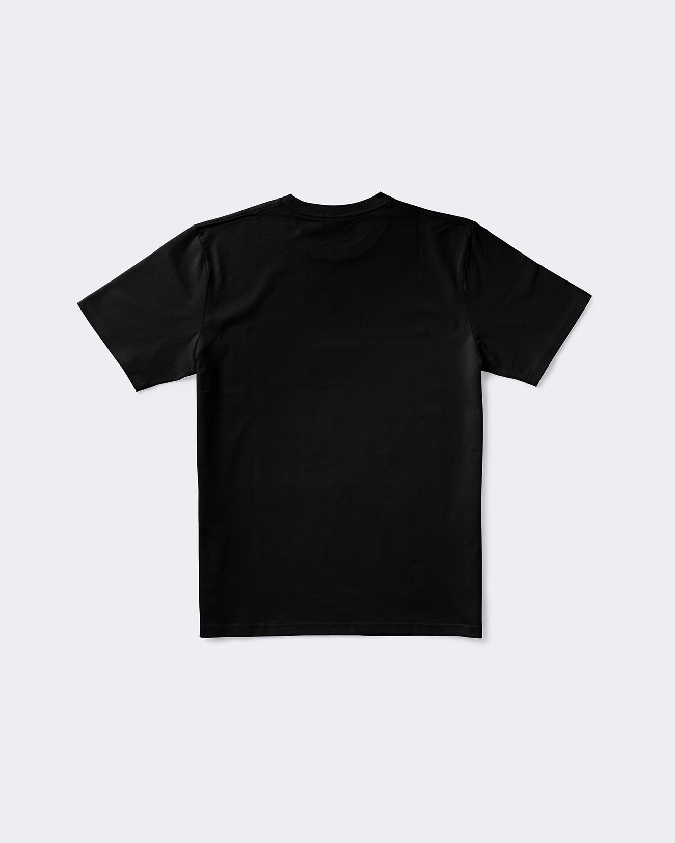 The ESA T-shirt