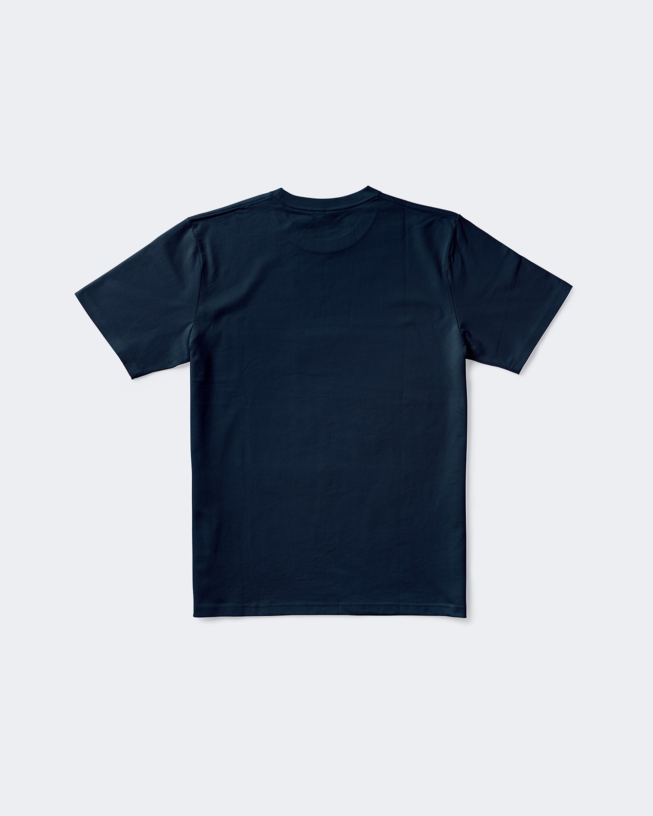 The ESA T-shirt